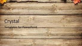  Presentation with autumn leaves - Colorful PPT layouts enhanced with vintage border from fallen leaves backdrop and a coral colored foreground