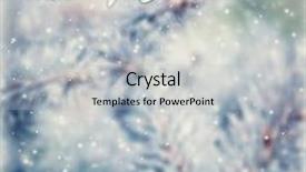  Presentation with vintage christmas - Slides with vintage christmas greeting card background beautiful vintage abstract background with text space coniferous tree branch covered with hoar frost selective focus on the text background and a light gray colored foreground