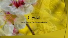 Presentation with grunge flower - PPT layouts enhanced with vintage-crumpled-paper-texture-grunge background and a gold colored foreground