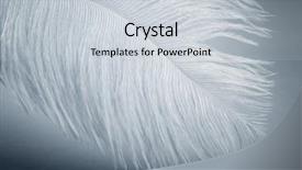  Presentation with feather - Amazing presentation theme having vintage doves - white feather closeup backdrop and a lemonade colored foreground