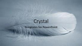  Presentation with islamic feather - Cool new slide set with vintage doves - white feather closeup backdrop and a light blue colored foreground