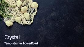  Presentation with clams - Slide set with vintage fishing net with clams on dark background background and a wine colored foreground