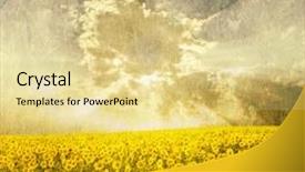  Presentation with grunge flower - Slides enhanced with vintage flower - field of sunflowers background and a blonde colored foreground
