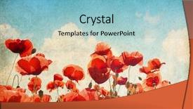  Presentation with flower vintage - Colorful PPT layouts enhanced with vintage flower - paper textures field of poppies backdrop and a light blue colored foreground