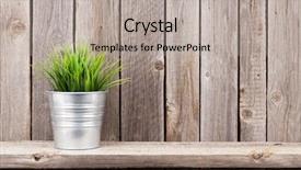  Presentation with rustic wood and flowers - PPT layouts enhanced with vintage flower - plant in flowerpot on shelf background and a light gray colored foreground