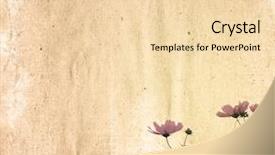  Presentation with flower vintage - Audience pleasing slides consisting of vintage flower paper background backdrop and a lemonade colored foreground