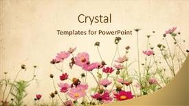  Presentation with flower vintage - Colorful PPT theme enhanced with vintage flower paper background backdrop and a lemonade colored foreground