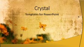  Presentation with flower vintage - Cool new PPT theme with vintage flower paper background backdrop and a yellow colored foreground