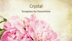  Presentation with flower vintage - Colorful PPT layouts enhanced with portrait of a handsome male chef cook in glasses holding receipe book and looking at camera isolated on a white background backdrop and a white colored foreground