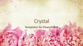  Presentation with flower vintage - Slides having vintage flower peony background and a cream colored foreground