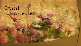  Presentation with old fashioned - Cool new PPT theme with old-fashioned flower backdrop and a gold colored foreground