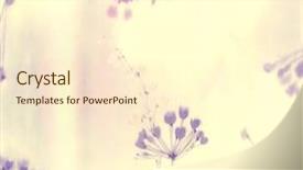  Presentation with paper imaging - Amazing presentation theme having japan - helthy - closeup of fresh backdrop and a light gray colored foreground.