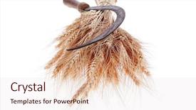  Presentation with ears - PPT theme consisting of vintage handmade reaper hook sickle background and a  colored foreground