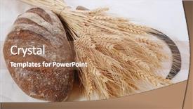  Presentation with ears - Presentation theme consisting of vintage handmade reaper hook sickle background and a  colored foreground