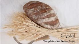  Presentation with bunch - Amazing slide deck having vintage handmade reaper hook sickle backdrop and a  colored foreground