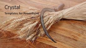  Presentation with bunch - Amazing slide set having vintage handmade reaper hook sickle backdrop and a coral colored foreground