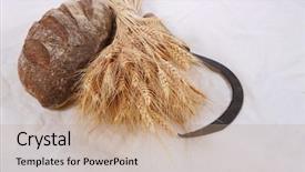  Presentation with ears - Colorful PPT layouts enhanced with vintage handmade reaper hook sickle backdrop and a  colored foreground