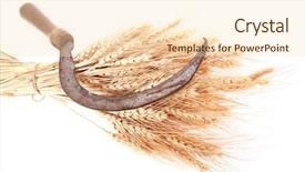  Presentation with ears - Theme enhanced with vintage handmade reaper hook sickle background and a lemonade colored foreground