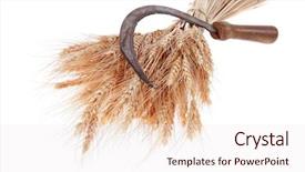  Presentation with ears - Beautiful PPT theme featuring vintage handmade reaper hook sickle backdrop and a sky blue colored foreground