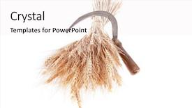  Presentation with bunch - PPT theme featuring vintage handmade reaper hook sickle background and a  colored foreground