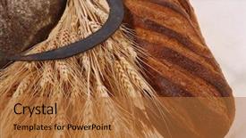  Presentation with ears - Amazing PPT theme having vintage handmade reaper hook sickle backdrop and a red colored foreground