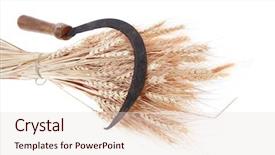  Presentation with bunch - Amazing PPT theme having vintage handmade reaper hook sickle backdrop and a lemonade colored foreground