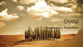  Presentation with nature countryside - Audience pleasing slide set consisting of vintage landscape several lonely trees backdrop and a yellow colored foreground