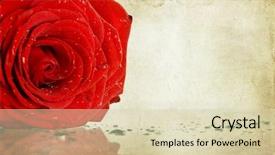  Presentation with retro - Colorful slide set enhanced with vintage love - grunge retro background with red backdrop and a soft green colored foreground