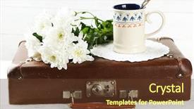  Presentation with books flowers - PPT layouts with vintage luggage - old wooden suitcase with old background and a  colored foreground