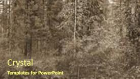  Presentation with misty - Presentation design consisting of vintage-misty-landscape-with-hills background and a  colored foreground