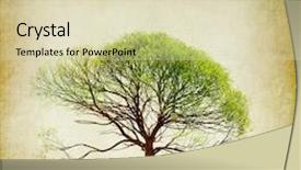  Presentation with nature design - Beautiful theme featuring vintage nature design old styled backdrop and a soft green colored foreground