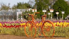  Presentation with gardens - Slides with vintage-orange-bicycle background and a gold colored foreground