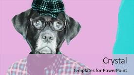  Presentation with contemporary art - PPT theme featuring vintage pageboy cap contemporary art background and a lavender colored foreground