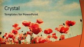  Presentation with vintage paper - Colorful PPT theme enhanced with vintage paper textures field backdrop and a mint green colored foreground