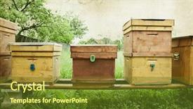  Presentation with bee hive - Beautiful presentation theme featuring vintage photo of bee hives backdrop and a tawny brown colored foreground