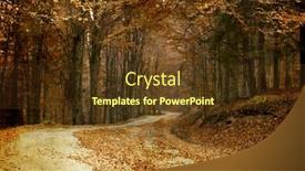  Presentation with forest road - Theme with vintage photo of curving road in autumn forest background and a tawny brown colored foreground