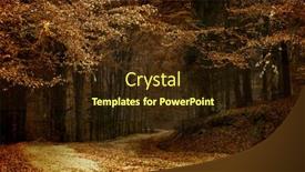  Presentation with forest road - Slides having forests trees peaceful path - vintage photo of curving road background and a wine colored foreground