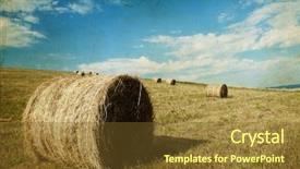  Presentation with hay field - Colorful PPT theme enhanced with vintage photo of hay-roll on field after harvest backdrop and a tawny brown colored foreground