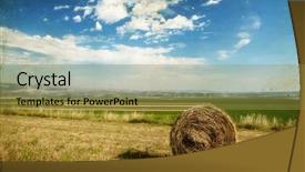  Presentation with hay field - Colorful PPT layouts enhanced with vintage photo of hay-roll backdrop and a gold colored foreground