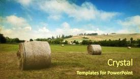  Presentation with hay field - Slides featuring vintage photo of hay-roll on field after harvest background and a tawny brown colored foreground