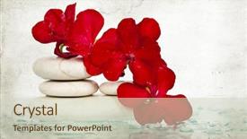  Presentation with flower vintage - Theme consisting of vintage photo of spa stones and red flower background and a soft green colored foreground