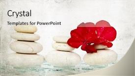  Presentation with flower vintage - Colorful slides enhanced with vintage photo of spa stones and red flower backdrop and a white colored foreground