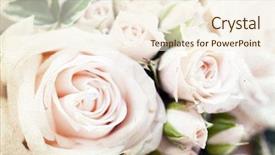  Presentation with white gold wedding - Colorful PPT theme enhanced with vintage photo of white wedding backdrop and a cream colored foreground