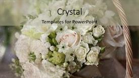  Presentation with wedding roses - Beautiful slides featuring dog chew bone backdrop and a tawny brown colored foreground