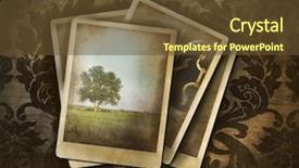  Presentation with damask - Beautiful slides featuring vintage photos on dark damask backdrop and a tawny brown colored foreground