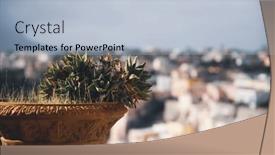  Presentation with cactus - Slide deck consisting of vintage-pot-with-cactus background and a light blue colored foreground