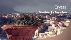  Presentation with cactus - Slides with vintage-pot-with-cactus background and a gray colored foreground