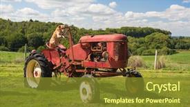  Presentation with old dog - PPT theme featuring vintage red tractor in agriculture background and a tawny brown colored foreground