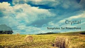  Presentation with hay field - PPT theme having vintage-retro-effect-filtered-hipster background and a light blue colored foreground