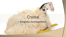  Presentation with white horse - Colorful slide set enhanced with beautiful yellow tulips in the meadow tulipa monticola note shallow depth of field backdrop and a coral colored foreground